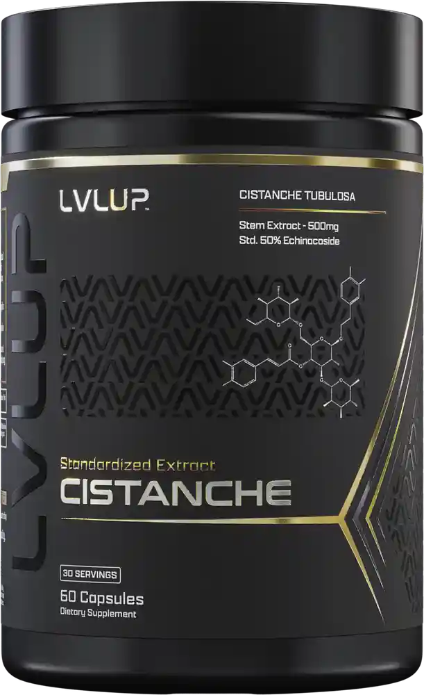 CISTANCHE